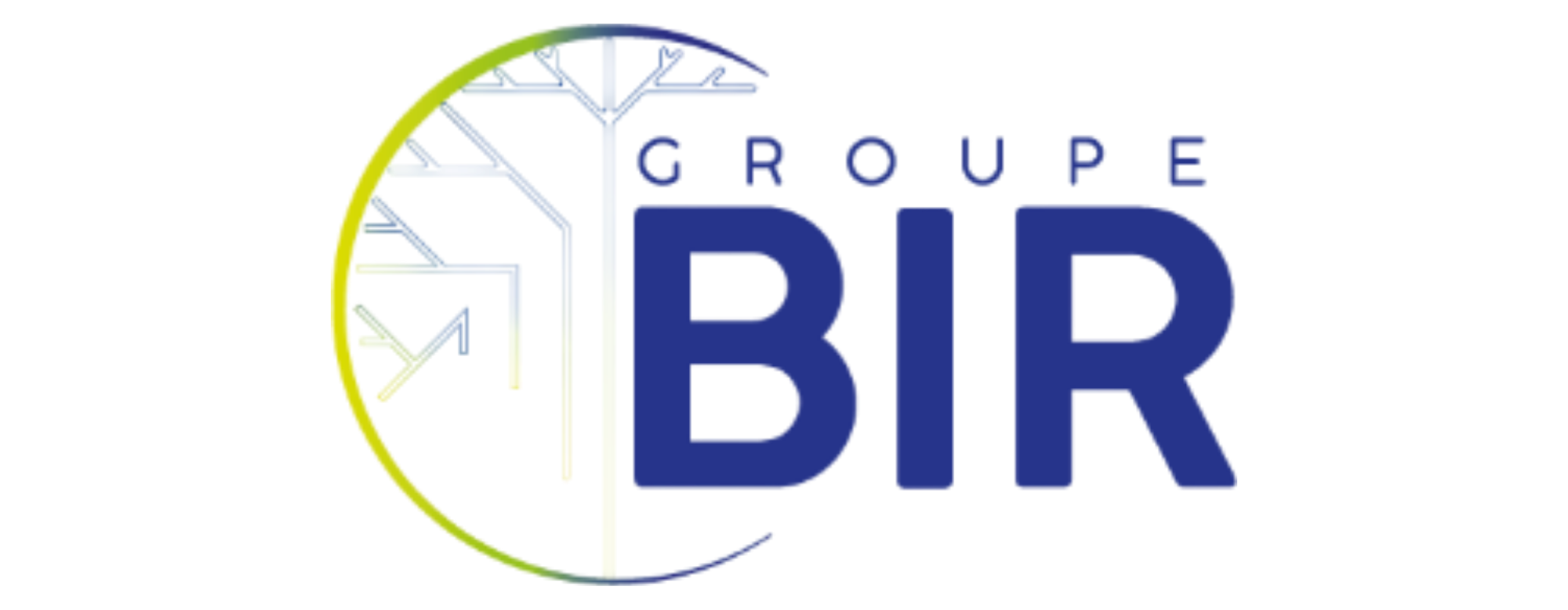 Groupe Bir